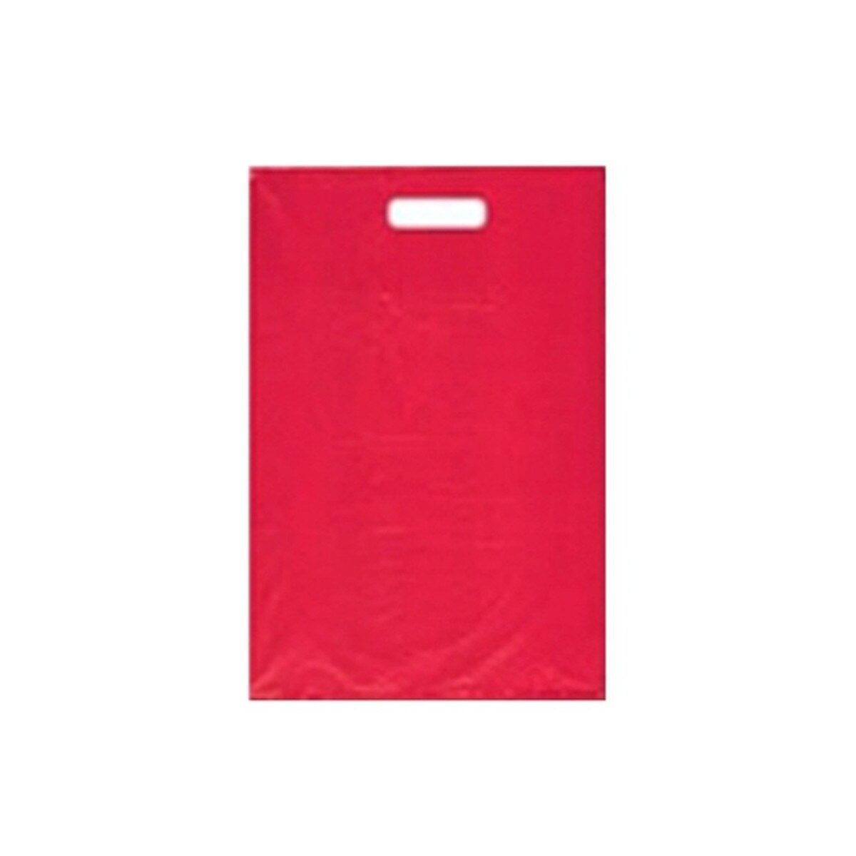 H.D. Plastic Merchandise Bags - 12